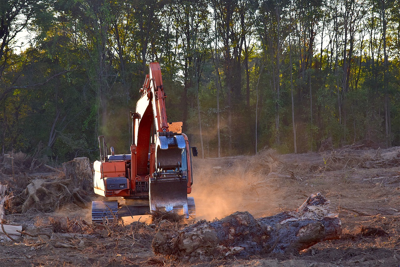 deforestation, machine, truck-2833687.jpg